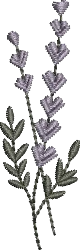 [MT-C133-11] Flores 11
