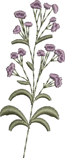 [MT-C133-14] Flores 14