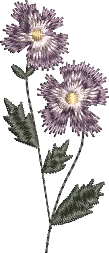 [MT-C133-15] Flores 15