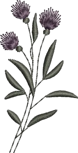[MT-C133-17] Flores 17