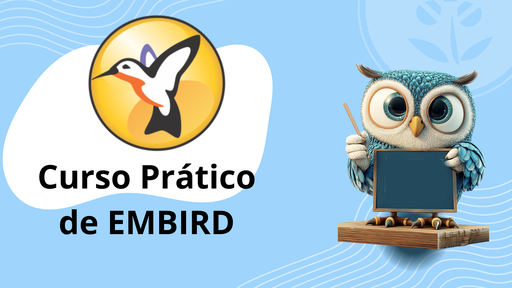 Curso Básico de Embird